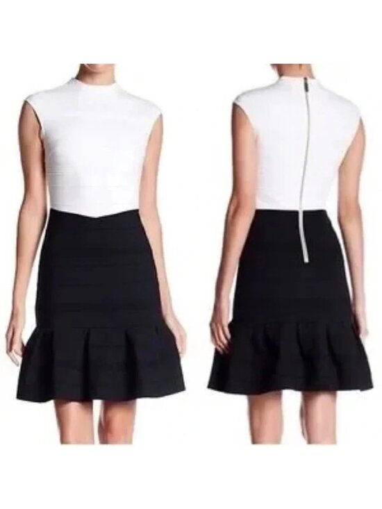 Ted Baker Dresses & Skirts - TED BAKER Colorblock Sleeveless Skater Dress 8 EUC